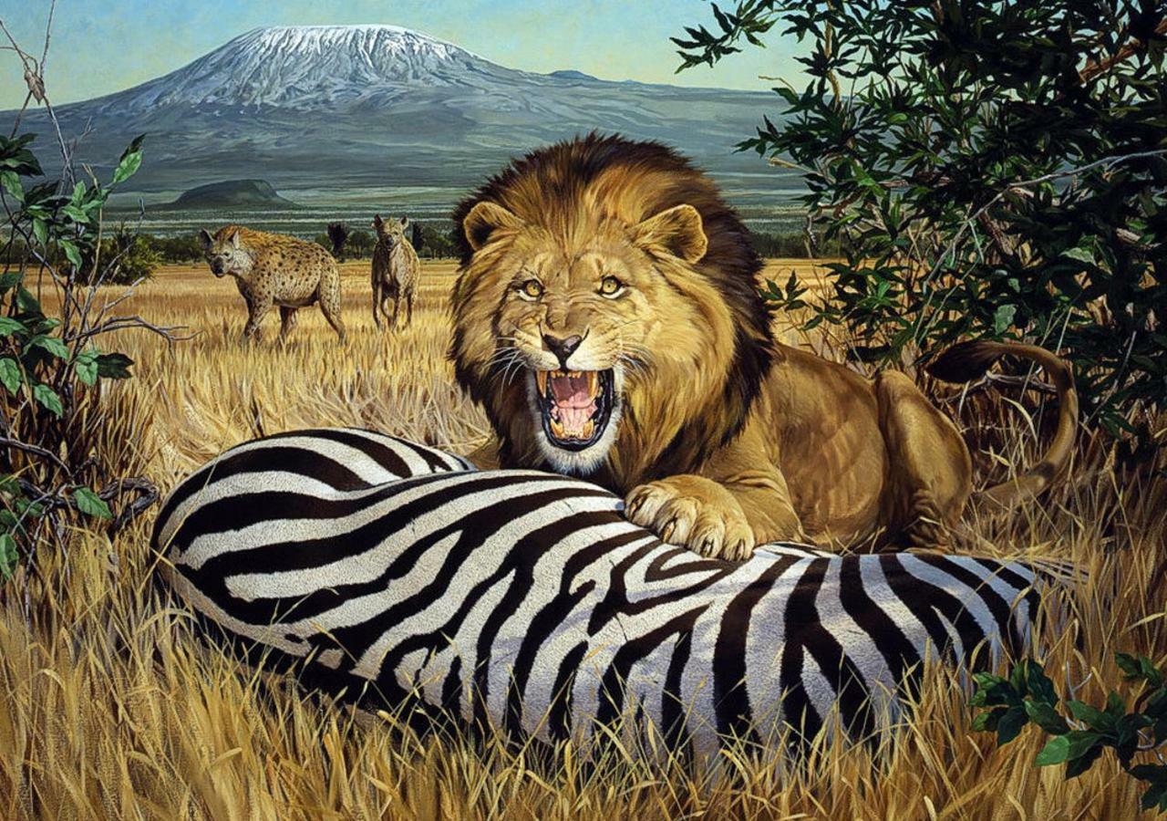 Aa Lodge Amboseli Εξωτερικό φωτογραφία