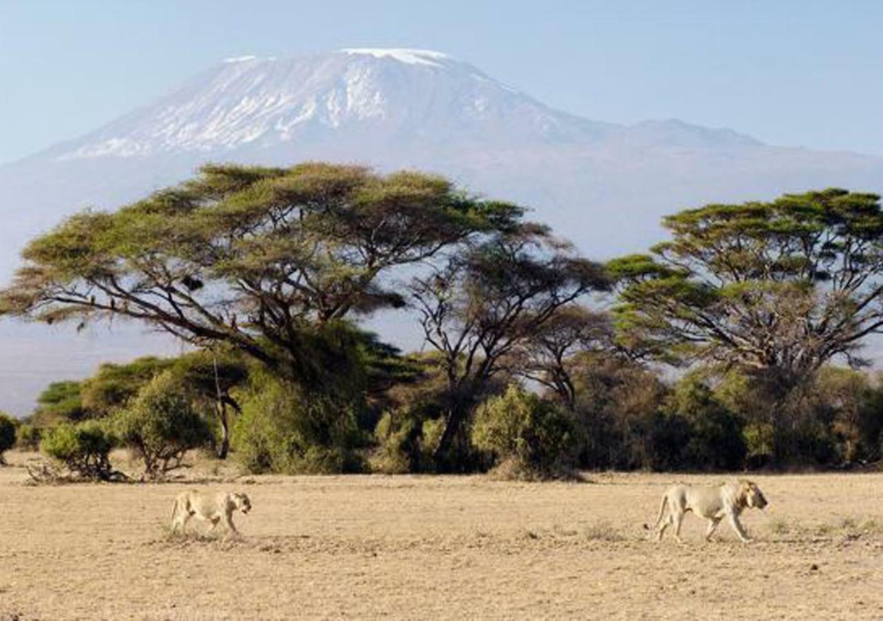 Aa Lodge Amboseli Εξωτερικό φωτογραφία