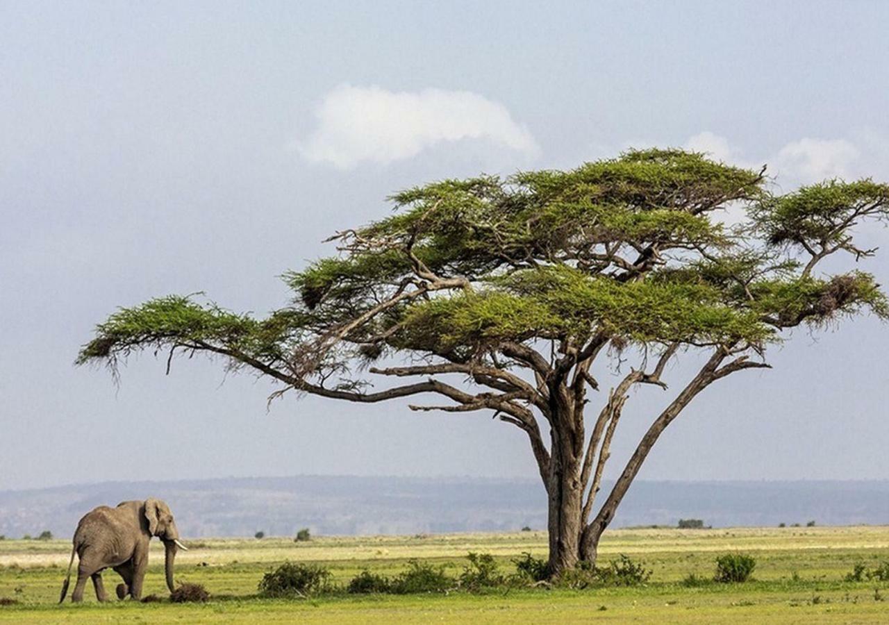 Aa Lodge Amboseli Εξωτερικό φωτογραφία